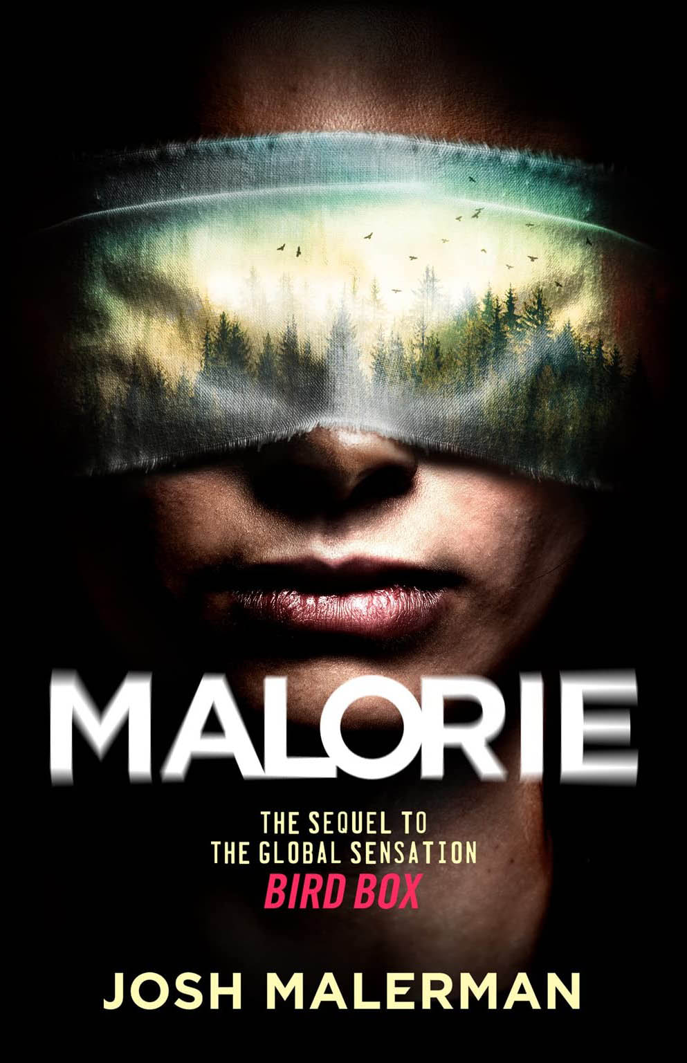 Malorie: A Bird Box Novel Special Edition by Josh Malerman Coming Q4 2020 from Dark Regions Press - Limited-Time Special!