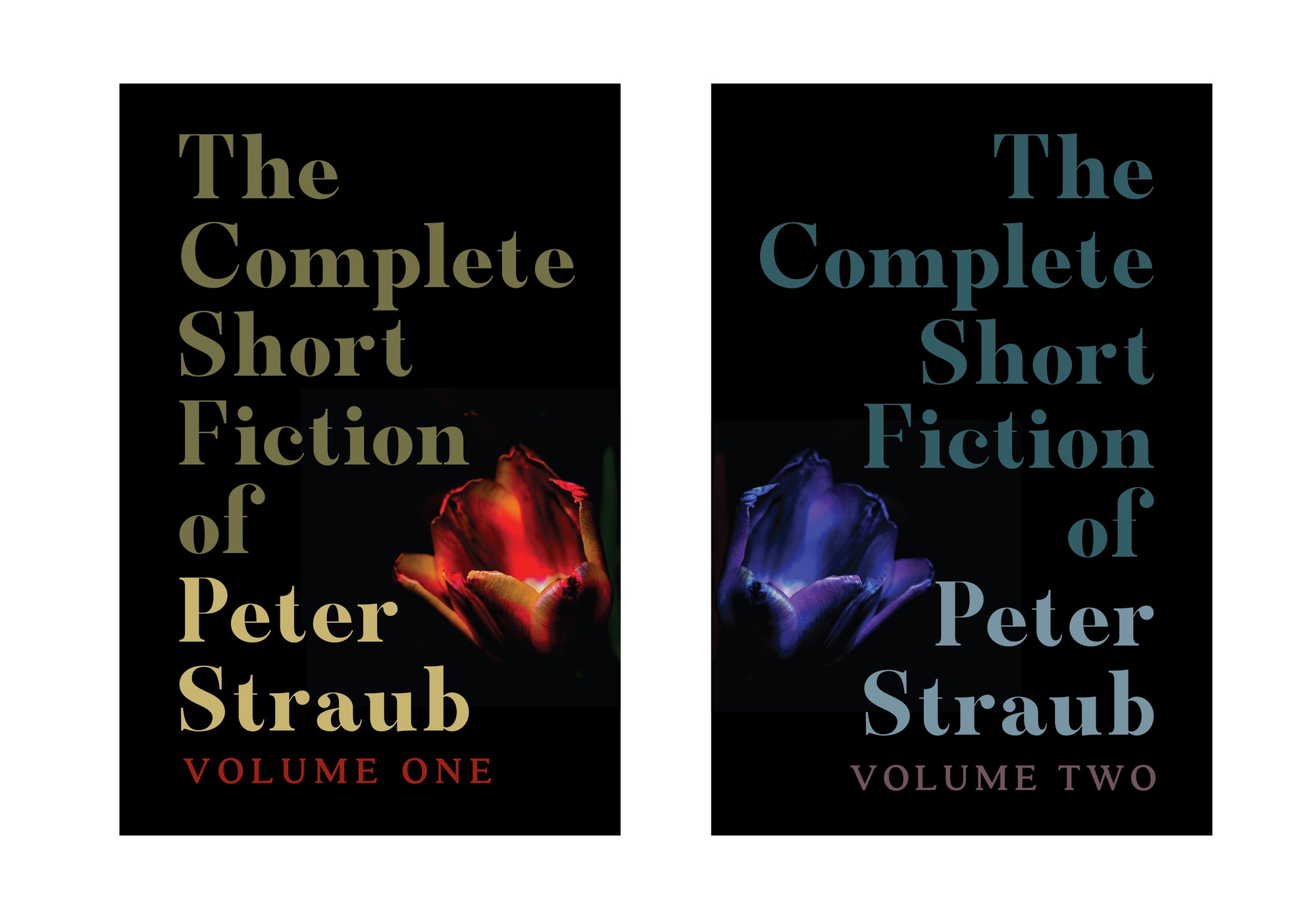 The Complete Short Fiction of Peter Straub — Numbered and Signed Limited Edition (Matching numbers)