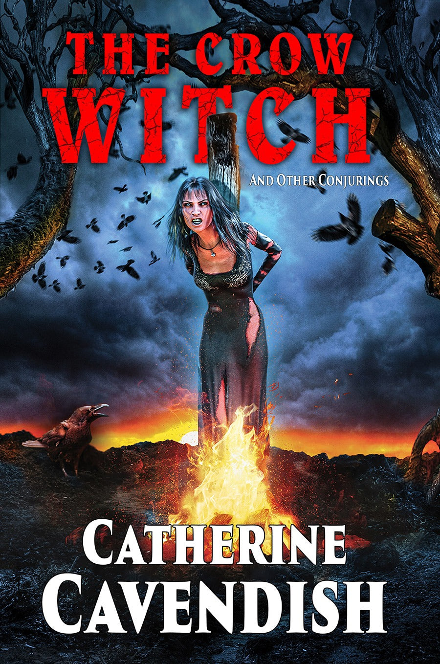 The Crow Witch and Other Conjurings by Catherine Cavendish Signed Numbered Trade Paperback